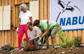 Drei Frauen bepflanzen ein Blumenbeet. Im Hintergrund erkennt man eine h lzerne Hauswand mit zwei Fenstern. Rechts im Bild h ngt ein wei es Banner, auf dem ein Storch und der Schriftzug NABU gedruckt ist.