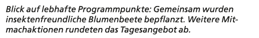 Blick auf lebhafte Programmpunkte: Gemeinsam wurden insektenfreundliche Blumenbeete bepflanzt. Weitere Mitmachaktione...