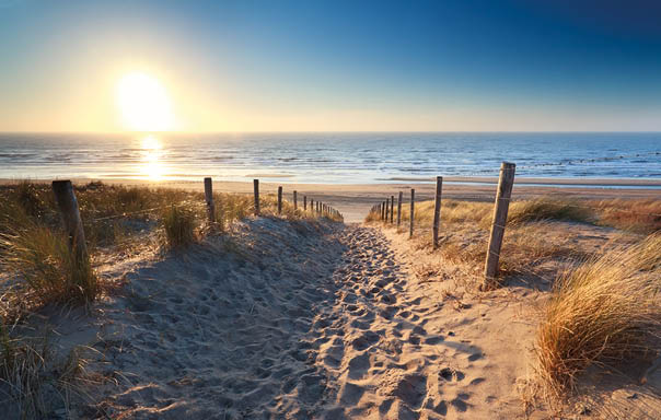 Blick auf die holl ndische Nordsee bei untergehender Sonne am Horizont. Ein sandiger Weg ges umt von einem Zaun und Gras auf den D nen f hrt hinunter zum Strand.