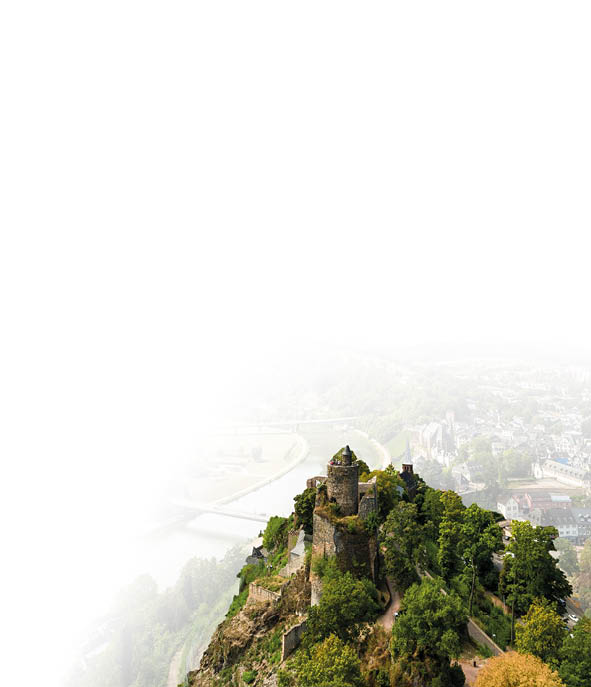 Auf einem Berg mit vielen B umen steht an der Spitze eine alte Burg. Im Hintergrund ist am Fu e des Berges eine Stadt zu sehen.