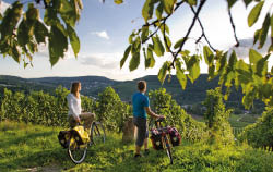 Zwei Radfahrer, ein Mann und eine Frau, stehen neben ihren Fahrr dern, die mit Satteltaschen ausgestattet sind, auf einer Wiese und blicken ber den Weinberg hinab ins Tal und auf die sich dahinter befindliche Bergkette. Der Bildrand wir von  sten mit gr nen Bl ttern ges umt.