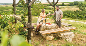 An einem Wanderweg durch die Weinberge ist ein Rastplatz eingerichtet. Ein gro er Stein dient als Tisch, drumherum sind vier B nke aus Holz. Ein P rchen mittleren Alters macht Pause an dem Rastplatz. Die Frau sitz seitlich auf der linken Seite des Tisches aus Stein. Sie hat kurze blonde Haare, tr gt eine kurze khakifarbene Hose sowie ein wei es Shirt und dar ber eine gelb-wei -karierte kurz rmlige Bluse – dazu Wanderschuhe. Der Mann steht rechts neben dem Tisch, er hat kurze dunkelblonde Haare die mit grauen Schlieren durchzogen sind, ebenso sein Bart. Er tr gt ein beiges kurz rmeliges Hemd und eine braune knielange Hose mit einer Tasche an der Seite. Die linke Hand hat er in der Hosentasche. Beide halten ein Glas Wein und sto en an, dabei blicken sie sich in die Augen. Auf dem Tisch steht neben der Frau eine Flasche Wein, daneben liegen Erdbeeren.