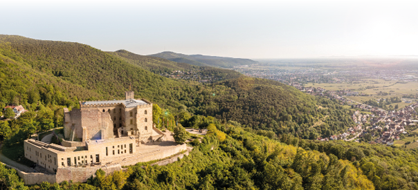 Das Bild zeigt eine beeindruckende Panoramaaufnahme einer historischen Burganlage, die majest tisch auf einem bewaldeten H gel thront. Es handelt sich um das Hambacher Schloss in Rheinland-Pfalz, Deutschland. Die Burg ist aus hellem Sandstein erbaut und zum Teil restauriert, was sich in der klaren Linienf hrung moderner Bauelemente erkennen l sst. Mehrere Flaggen wehen vor dem Eingang auf einem kleinen Vorplatz.   Links und im Vordergrund des Bildes erstreckt sich ein dichter, gr ner Wald, der den Hang des Pf lzerwaldes bedeckt. Rechts  ffnet sich der Blick weit  ber die Rheinebene mit kleinen D rfern, Feldern und einer weitl ufigen Stadtlandschaft in der Ferne. Der Himmel ist klar, die Sonne steht tief und taucht die Szene in ein warmes, goldenes Licht, das die Mauern der Burg leuchten l sst.    Die Perspektive aus der Luft betont die erh hte Lage des Schlosses und gibt ein Gef hl von Weite und historischer Bedeutung. Das Bild vermittelt Ruhe, Naturverbundenheit und kulturelles Erbe.