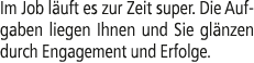 Im Job l uft es zur Zeit super. Die Aufgaben liegen Ihnen und Sie gl nzen durch Engagement und Erfolge.