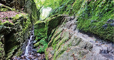 Zwischen moosbewachsenen Steinw nden flie t ein kleiner Bach. An der rechten Steilwand h ngt ein Drahtseil an dem man sich beim Klettern festhalten kann. Im Hintergrund sieht man gr ne B ume und ein St ck Himmel.