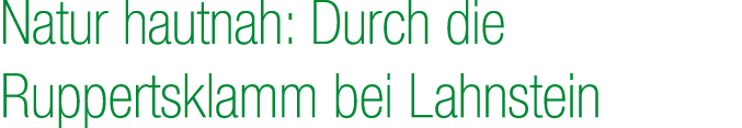 Natur hautnah: Durch die Ruppertsklamm bei Lahnstein