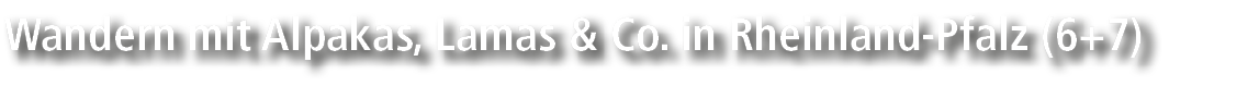 Wandern mit Alpakas, Lamas & Co. in Rheinland Pfalz (6+7)