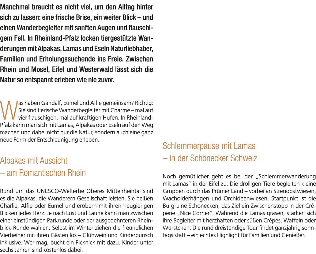 Manchmal braucht es nicht viel, um den Alltag hinter sich zu lassen: eine frische Brise, ein weiter Blick – und einen...