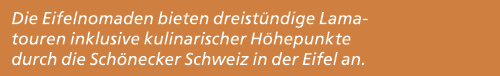 Die Eifelnomaden bieten dreist ndige Lamatouren inklusive kulinarischer H hepunkte durch die Sch necker Schweiz in de...
