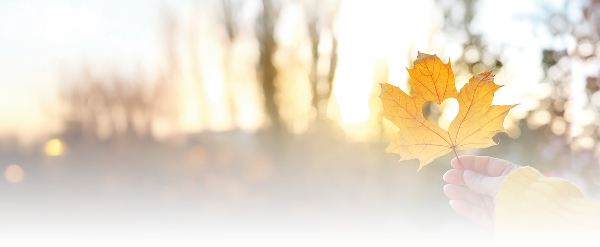 yellow leaf with a heart in a female hand, background of golden leaves lie chaotically on the ground, autumn mood concept, seasonal