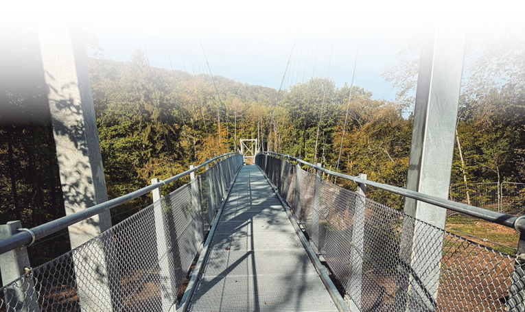 Das Bild zeigt eine moderne H ngebr cke aus Metall, die ber ein bewaldetes Tal f hrt. Die Br cke besteht aus einem Gitterrost-Boden, durch den man den Boden unterhalb leicht erkennen kann. Rechts und links ist die Br cke mit Drahtgeflecht und stabilen Metallgel ndern gesichert. Mehrere dicke Stahlseile verlaufen diagonal von oben zu den Seiten der Br cke und stabilisieren die Konstruktion. Die Br cke zieht sich perspektivisch in die Ferne und endet im dichten Wald.    Rechts und links der Br cke sind viele gr ne B ume zu sehen, einige davon haben herbstlich gef rbte Bl tter in Gelb- und Braunt nen. Im Hintergrund erhebt sich ein bewaldeter H gel unter einem klaren blauen Himmel. Das Sonnenlicht f llt schr g auf die Szene und wirft Schatten der Metallkonstruktion auf den Br ckenboden.    Die Szene wirkt ruhig, naturnah und gut gepflegt – als ob sie Teil eines Wanderwegs oder eines Naturparks ist.