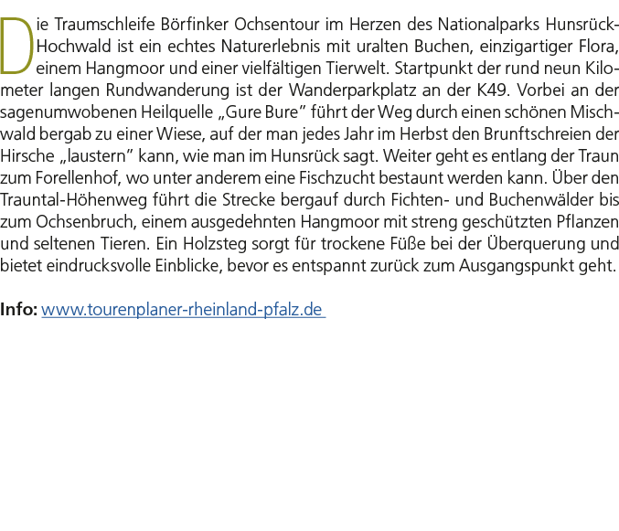 Die Traumschleife B rfinker Ochsentour im Herzen des Nationalparks Hunsr ck Hochwald ist ein echtes Naturerlebnis mit...