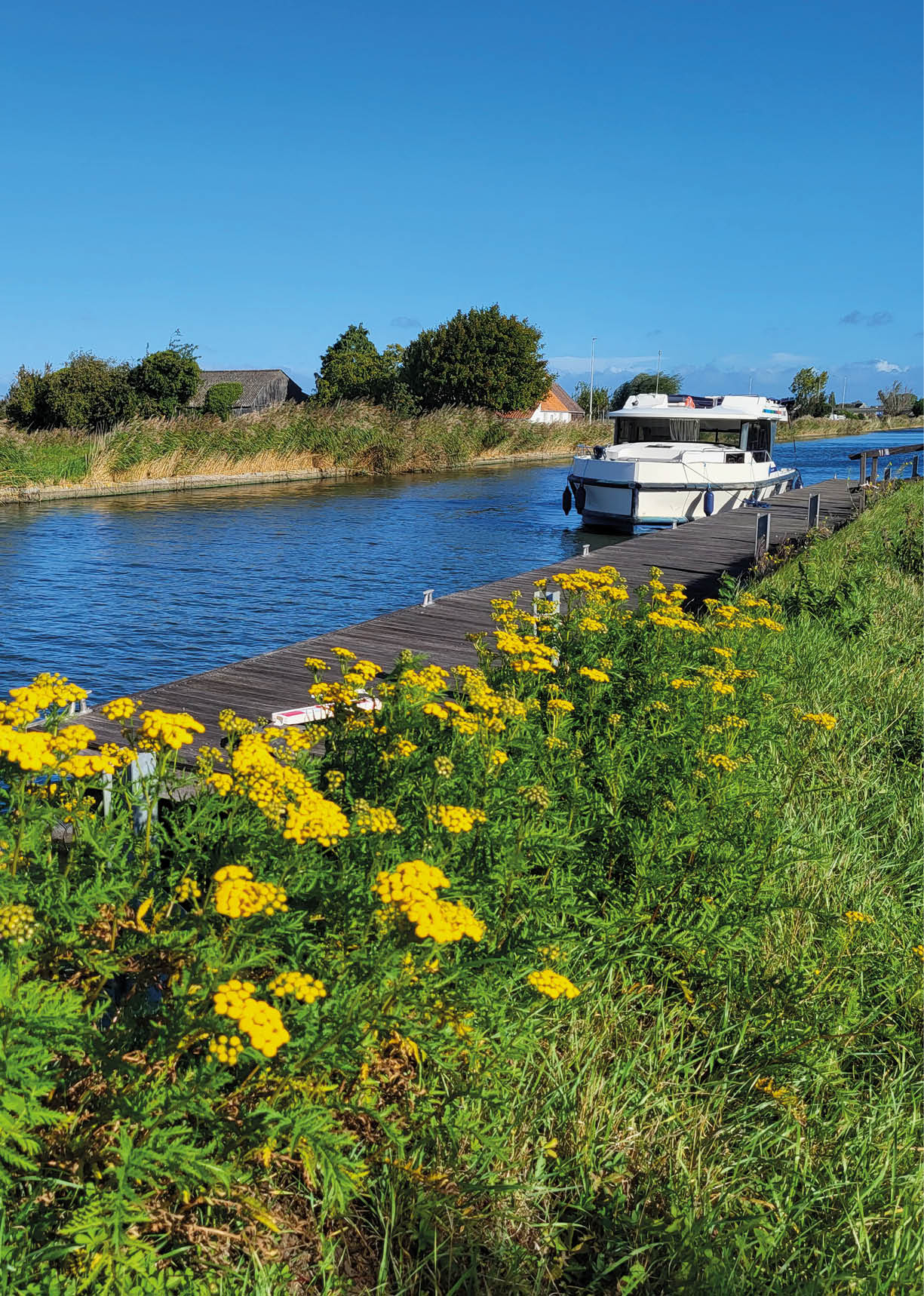 Das Bild zeigt ein wei es Hausboot, das an einem h lzernen Steg entlang eines ruhigen Kanals liegt. Im Vordergrund wachsen zahlreiche gelb bl hende Wildpflanzen, die dem Motiv eine sommerlich-idyllische Stimmung verleihen. Im Hintergrund sind Felder, B ume und einige H user zu erkennen, der Himmel ist klar und blau – ein typisches Bild f r einen entspannten Tag in einer l ndlichen Flusslandschaft.