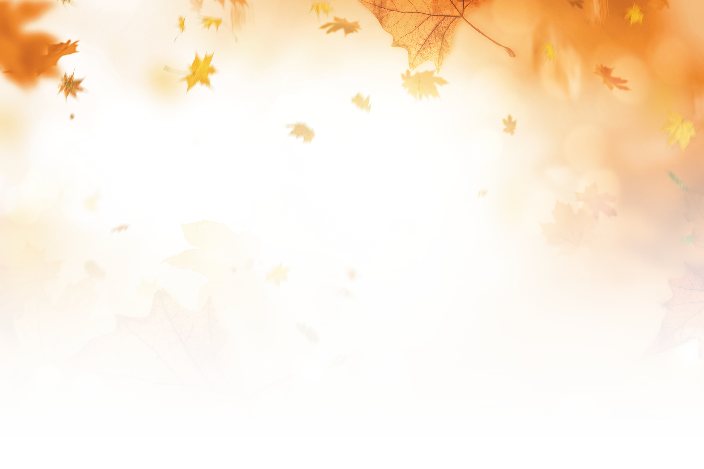 Das Bild zeigt eine herbstliche Szene mit vielen schwebenden und fallenden Ahornbl ttern in verschiedenen Gelb-, Orange- und Braunt nen. Die Bl tter sind unterschiedlich gro , teilweise deutlich sichtbar im Vordergrund und andere eher verschwommen im Hintergrund. Der Hintergrund ist hell und warm, mit einem leuchtenden, fast wei en Licht in der Bildmitte, das sich nach au en hin in weiche Gold- und Oranget ne verl uft. Die Atmosph re wirkt ruhig, sanft und stimmungsvoll – typisch f r einen sonnigen Herbsttag mit fallendem Laub. Es sind keine Personen oder Geb ude zu sehen, nur die nat rliche Bewegung der Bl tter in einem abstrakten, leicht verschwommenen Stil.