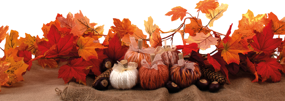 Am unteren Rand des Bildes ist eine herbstliche Dekoration arrangiert. Im Mittelpunkt stehen kleine, handgemachte K rbisse aus Wolle. Sie sind in warmen Farben gehalten: Wei , Hellorange, Dunkelorange und Braun, und sie haben oben kleine Schleifen aus transparentem Band und naturfarbene Stiele, die wie aus Holz oder Kork aussehen.   Die K rbisse stehen auf einem grob gewebten Stoff in Jutesack-Optik. Dazwischen liegen herbstliche Naturmaterialien wie Kastanien, Tannenzapfen und kleine Holzst cke.    Im Hintergrund verl uft ein dichter Kranz aus bunten Herbstbl ttern. Die Bl tter sind in kr ftigen Rot-, Orange- und Gelbt nen gef rbt. Einige Bl tter haben sichtbare Adern und wirken sehr naturgetreu. Die Dekoration zieht sich  ber die gesamte Breite des unteren Bildrands.    Der obere Teil des Bildes ist vollst ndig wei  und leer – wahrscheinlich freigelassen f r Text oder zur weiteren Gestaltung.    Die Gesamtstimmung des Bildes ist warm, gem tlich und typisch herbstlich – ideal f r eine Herbst- oder Erntedankdekoration.