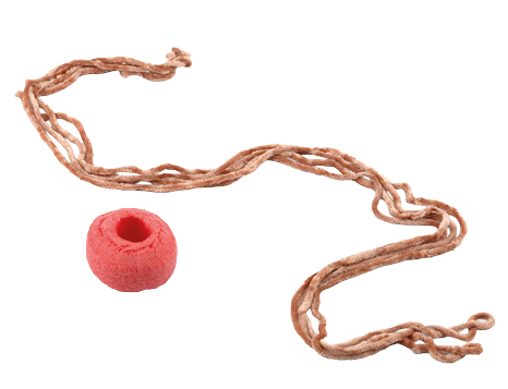 Auf einem wei en Untergrund liegt ein rundes St ck einer roten Poolnudel mit einer vertieften Mitte. Daneben befindet sich ein l ngeres St ck orange-brauner, samtartig strukturierter Wolle, das locker und in mehreren Str ngen ausgelegt ist. Beide Objekte sind einzeln und klar voneinander getrennt, wirken weich und haben unterschiedliche Texturen.