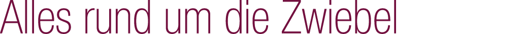 Alles rund um die Zwiebel