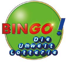 Logo Bingo!