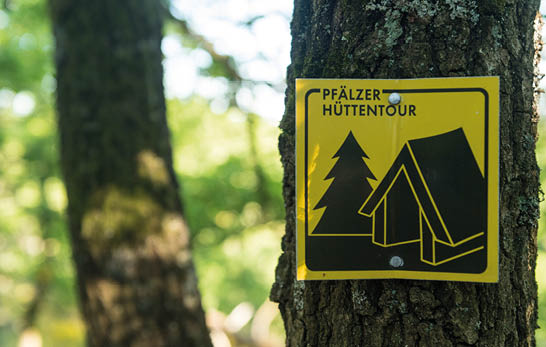 Das Bild zeigt den Stamm eines Baumes im Wald. An diesem Baum ist ein gelbes Hinweisschild befestigt. Das Schild tr gt oben die schwarze Aufschrift „Pf lzer H ttentour“. Darunter befindet sich eine schwarze grafische Darstellung: links ein Tannenbaum, rechts daneben eine stilisierte H tte mit schr gem Dach.   Das Schild ist rechteckig, gut sichtbar und mit zwei silbernen Schrauben am Baum angebracht – eine oben, eine unten.    Der Hintergrund besteht aus unscharfem, hellem Gr n: Licht f llt durch die Bl tter, wodurch eine freundliche, sommerliche Waldatmosph re entsteht.