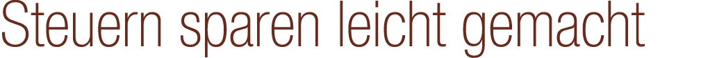 Steuern sparen leicht gemacht