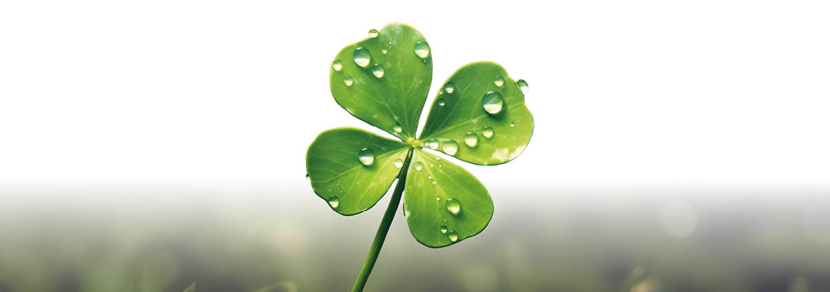 Das Bild zeigt ein vierbl ttriges Kleeblatt, auf dessen Bl ttern sich mehrere Tautropfen befinden. Das Kleeblatt steht f r Gl ckssymbole und ist vor einem unscharfen, hellen Hintergrund abgebildet.