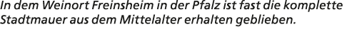 In dem Weinort Freinsheim in der Pfalz ist fast die komplette Stadtmauer aus dem Mittelalter erhalten geblieben.