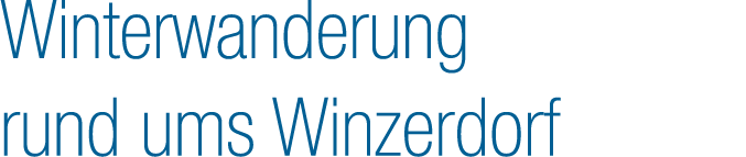 Winterwanderung rund ums Winzerdorf 