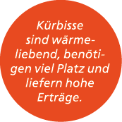 K rbisse sind w rmeliebend, ben tigen viel Platz und liefern hohe Ertr ge.