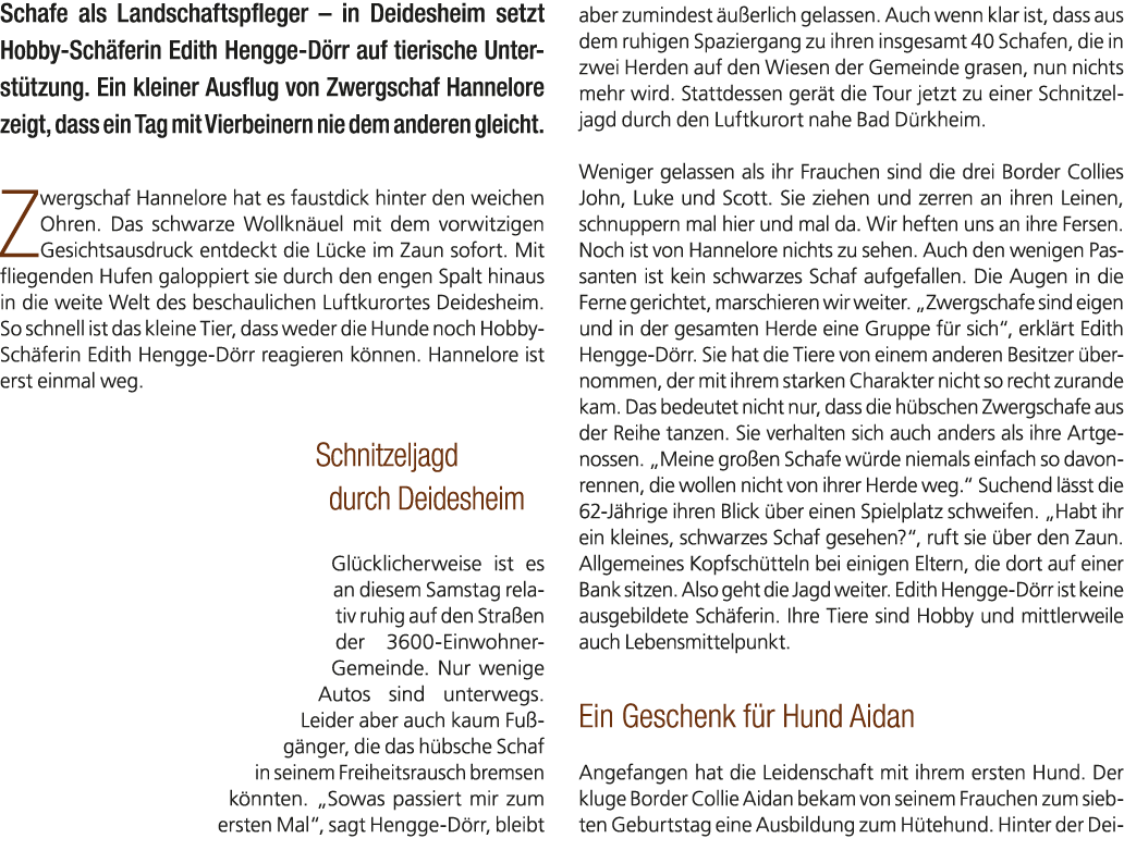 Schafe als Landschaftspfleger – in Deidesheim setzt Hobby Sch ferin Edith Hengge D rr auf tierische Unterst tzung. Ei...