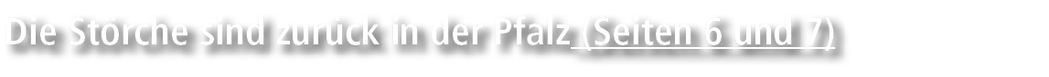 Die St rche sind zur ck in der Pfalz (Seiten 6 und 7)