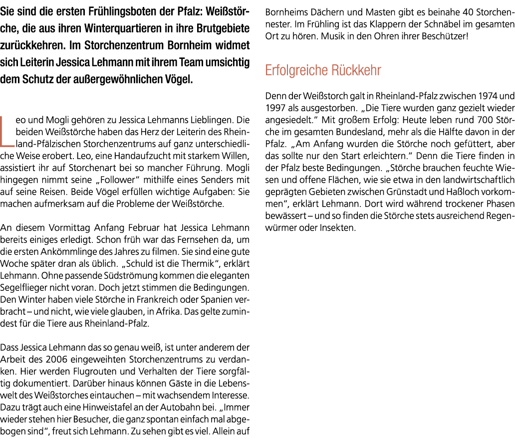 Sie sind die ersten Fr hlingsboten der Pfalz: Wei st rche, die aus ihren Winterquartieren in ihre Brutgebiete zur ckk...