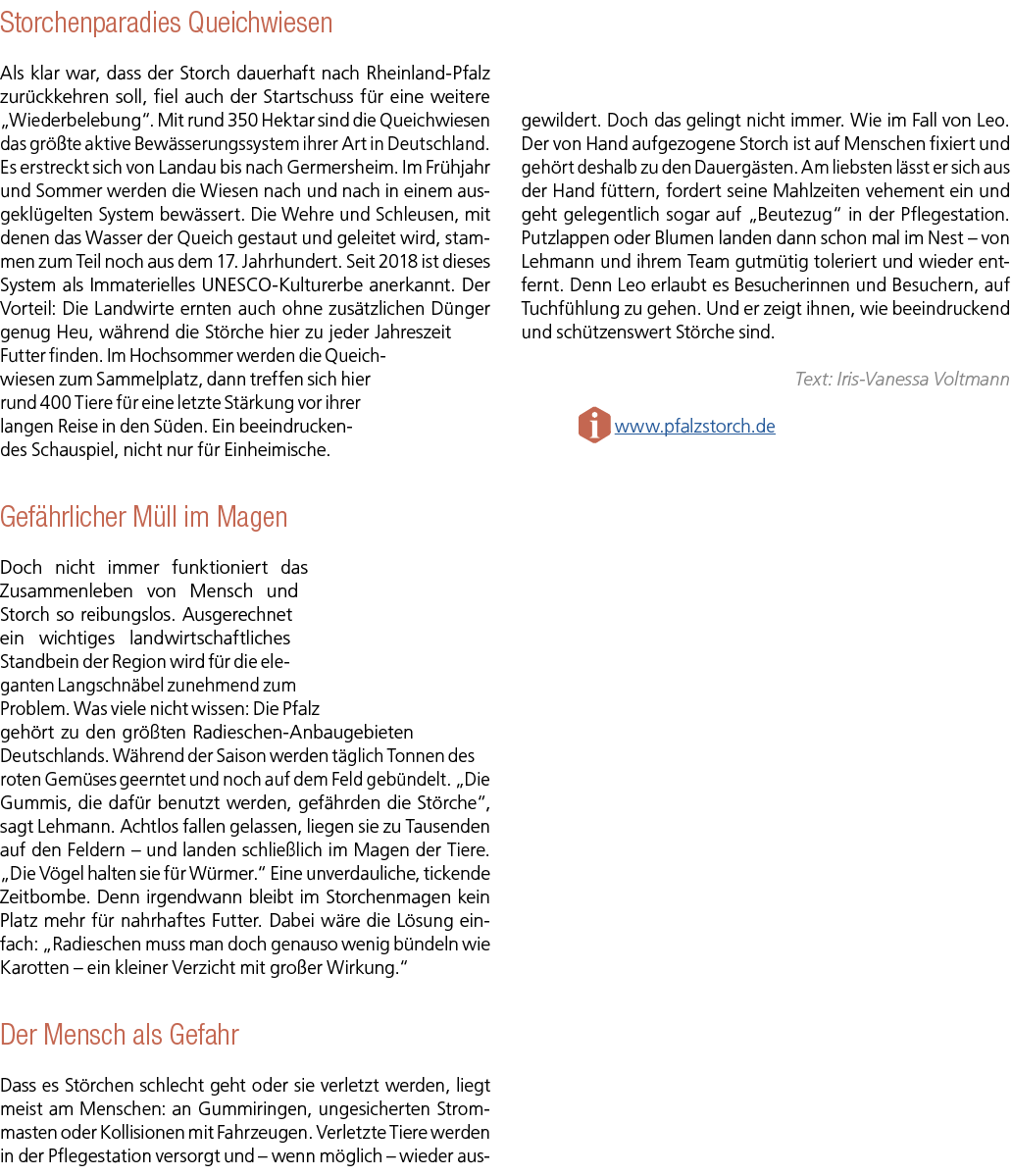 Storchenparadies Queichwiesen Als klar war, dass der Storch dauerhaft nach Rheinland Pfalz zur ckkehren soll, fiel au...