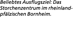 Beliebtes Ausflugsziel: Das Storchen­zentrum im rheinland pf lzischen Bornheim. 