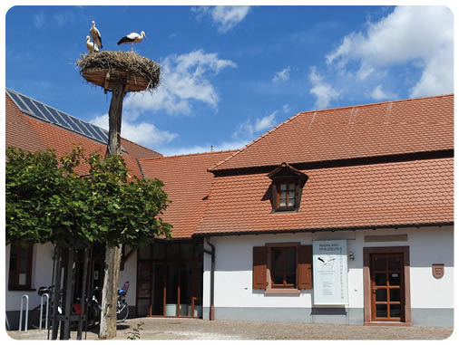 Blick auf den Hof des Storchenzentrums. Die D cher der wei en Geb ude sind rot gedeckt. Vor dem Haus steht ein hoher Pfahl auf dessen Spitze ein Storchennest mit drei St rchen sitzt.