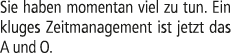 Sie haben momentan viel zu tun. Ein kluges Zeitmanagement ist jetzt das A und O.