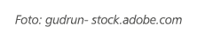 Foto: gudrun stock.adobe.com