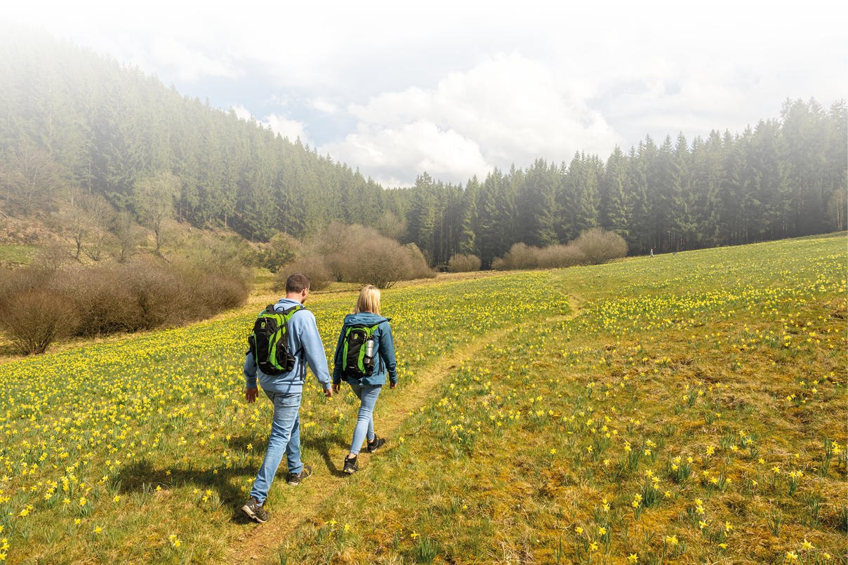 Ein Mann und eine Frau wandern querfeldein ber eine Wiese mit Narzissenbl ten.