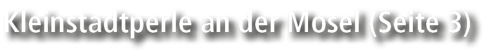 Kleinstadtperle an der Mosel (Seite 3)