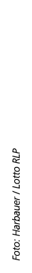 Foto: Harbauer / Lotto RLP