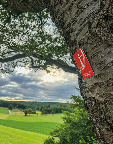 Das Bild zeigt einen Baum im Vordergrund, dessen raue, strukturierte Rinde deutlich zu erkennen ist. Am Stamm ist ein rotes Wegzeichen befestigt, auf dem ein stilisiertes wei es Kreuz und eine Figur abgebildet sind. Darunter steht der Schriftzug „Katharina Kasper Pilgerweg“.   Im Hintergrund  ffnet sich der Blick auf eine weite, gr ne Landschaft mit Wiesen und Feldern. Einzelne B ume und ein schmaler Weg sind in der Ferne zu erkennen.     ber der Landschaft liegt ein dramatischer Himmel mit dichten Wolken, durch die das Sonnenlicht bricht und f r eine leicht goldene Stimmung sorgt.    Die  ste des Baumes reichen von oben ins Bild hinein und rahmen die Szene.