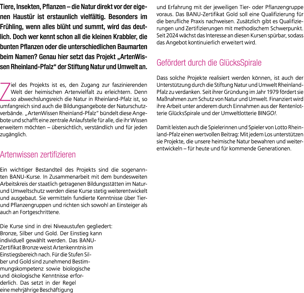 Das Bild zeigt eine Nahaufnahme eines Schmetterlings auf einer Bl te.   Der Schmetterling hat zart gelb-gr ne Fl gel, die geschlossen sind und eine leicht ovale Form haben. Auf den Fl geln sind kleine br unliche Punkte zu erkennen. Sein K rper ist schmal, mit feinen F hlern, die nach vorne gebogen sind.    Er sitzt auf einer violetten, kugelf rmigen Bl te mit vielen kleinen Einzelbl ten und feinen, haar hnlichen Strukturen am St ngel.    Der Hintergrund ist weich verschwommen in hellen Gr n- und Beiget nen, wodurch der Fokus ganz auf dem Schmetterling und der Blume liegt.