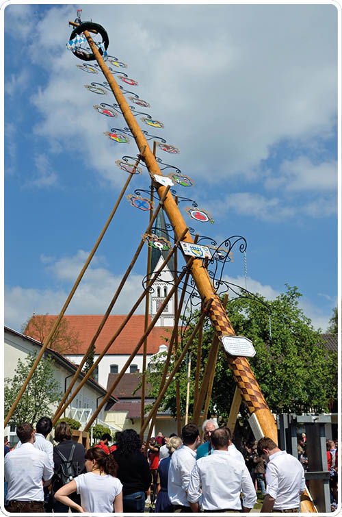 Ein hoher, geschm ckter Maibaum ragt schr g in den Himmel und wird von mehreren langen Holzstangen gest tzt. Am Stamm sind zahlreiche bunte Wappenschilder und Verzierungen befestigt, oben befindet sich ein Kranz mit blau-wei em Muster. Am Fu des Baumes steht eine Gruppe von Menschen, die nach oben schauen und beim Aufstellen zusehen. Im Hintergrund sind ein Dorfplatz mit Geb uden, B umen und eine Kirche mit spitzem Turm zu sehen. Der Himmel ist teils bew lkt, und die Szene vermittelt den Eindruck eines traditionellen Maifestes im Freien.