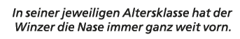In seiner jeweiligen Altersklasse hat der Winzer die Nase immer ganz weit vorn.