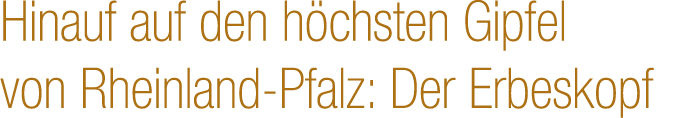 Hinauf auf den h chsten Gipfel von Rheinland Pfalz: Der Erbeskopf 