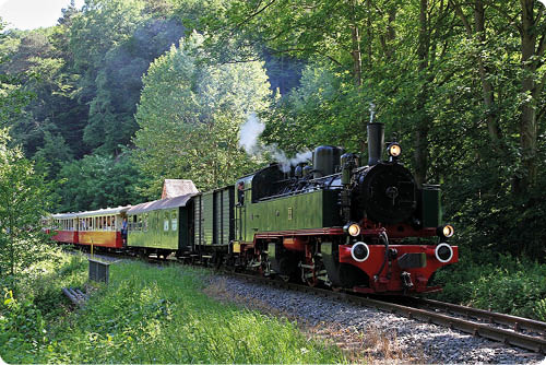 Vorne rechts im Bild f hrt eine historische Dampflokomotive auf schmalen Gleisen von rechts nach links. Die Lok ist berwiegend schwarz, der Unterbau und die Puffer sind auff llig rot, an der Front zwei runde wei e Umrandungen an den Puffern. Aus dem kurzen Schornstein steigt helle Dampfwolke auf. Direkt hinter der Lok schlie en sich ein gr n lackierter geschlossener G terwagen und mehrere Personenwagen an; die Personenwagen sind in hellen, warmen Farben gehalten (Gelb und Rot) und haben gro e Fenster. In einem der offenen Wagen steht eine Person sichtbar am Fenster und blickt nach au en. Links und rechts der Gleise w chst dichtes, saftig gr nes Busch- und Graswerk; im Hintergrund ragen hohe B ume und ein dunkler Waldhang empor. Sonnenstrahlen durchbrechen die Baumkronen und werfen punktuelle Lichtflecken auf Lok und Vegetation, die Szene wirkt lebendig, warm und naturnah.