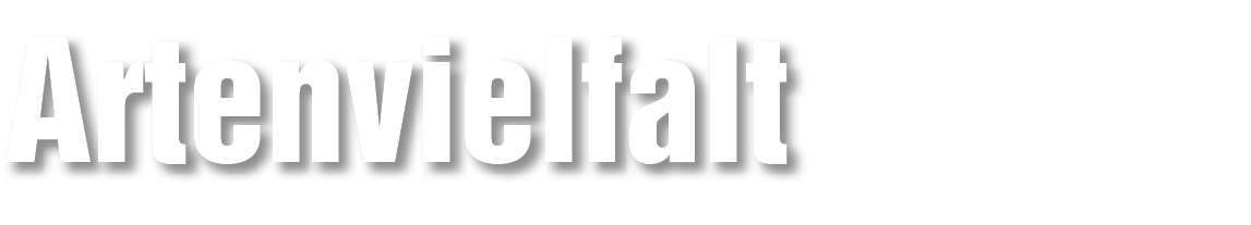 Artenvielfalt