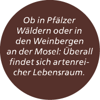 Ob in Pf lzer W ldern oder in den Weinbergen an der Mosel: berall findet sich artenreicher Lebensraum.