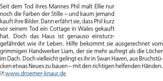 Seit dem Tod ihres Mannes Phil malt Ellie nur noch die Farben der Stille – und kaum jemand kauft ihre Bilder. Dann er...