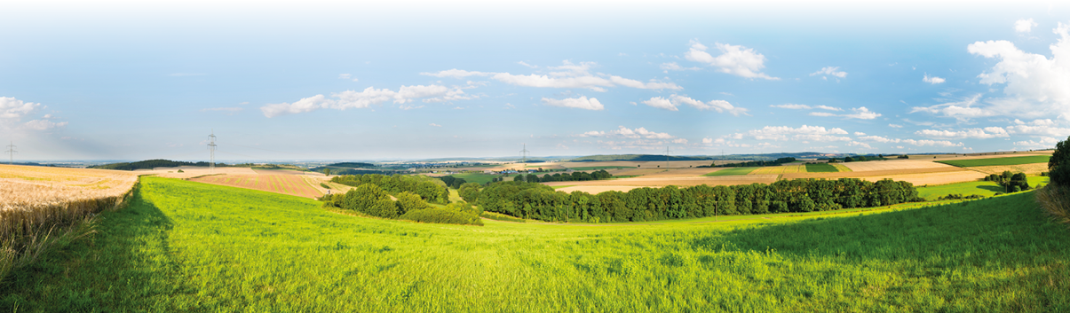Panoramablick ber eine l ndliche H gellandschaft an einem sonnigen Tag. Im Vordergrund breites, lebhaft gr nes Grasland, links ein Schattenstreifen entlang eines Feldwegs. Dahinter wechseln Felder in verschiedenen Gelbt nen und frisch gepfl gten Braunt nen; weiter hinten liegen zusammenh ngende Baumgruppen und kleine W lder. Am Horizont flache H gel, vereinzelte Strommasten und Windr der. Der Himmel ist weit und hellblau mit einigen kleinen, wei en Wolken. Stimmung: ruhig, offen und sommerlich.