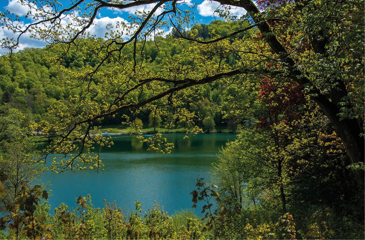 Blick auf einen ruhigen See, eingerahmt von ppigem Fr hlingslaub. Im Vordergrund ragen dunkle  ste eines laubbeginnenden Baums diagonal von rechts nach links  ber das Bild; junge, hellgr ne Bl tter und feine Zweige zeichnen sich gegen den blauen Himmel ab. Rechts und links vorne stehen weitere Str ucher und B ume in verschiedenen Gr nt nen, rechts ist ein Baum mit r tlich-braunen Bl ttern zu sehen. Im Hintergrund erstreckt sich am gegen berliegenden Ufer ein dicht bewaldeter Hang mit satten, gr nen Kronen. Der See liegt ruhig da, seine Wasseroberfl che erscheint tiefblau bis smaragdgr n und spiegelt stellenweise das Licht. Vereinzelte wei e Wolken ziehen am klaren Himmel. Stimmung: friedlich, naturverbunden, sonniger Fr hlingstag.